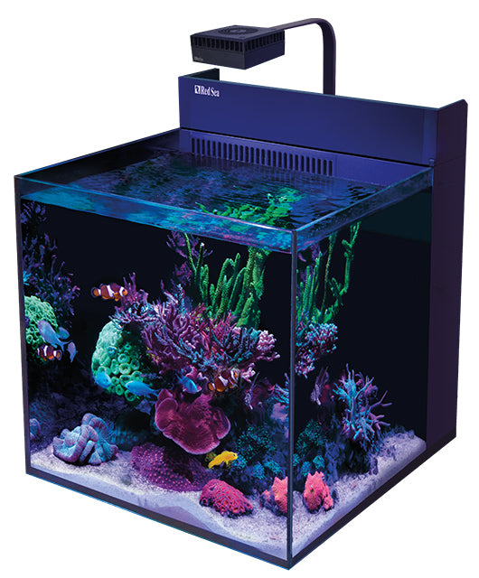 Red Sea Max Nano XL G2 - White